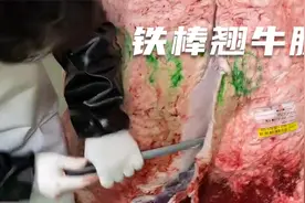 韩国小伙切肥牛，小刀一切，铁棍一翘，牛腿轻松撕开，这技术绝了视频封面