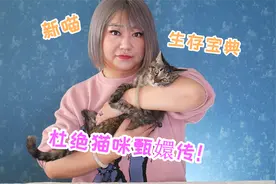 猫小助：家里进新猫原住民不接受？10+年经验教你搞定猫咪甄嬛传视频封面