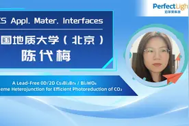 文献|中国地质大学（北京）陈代梅：光催化CO₂还原领域研究成果视频封面