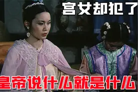 皇帝昏庸，两宫皇太后垂帘听政，慈禧独揽大权卖国求荣视频封面