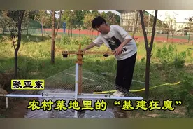 张亚东：小伙自建微型工程，高铁过高桥穿隧道，网友称高手在民间视频封面