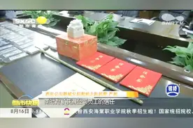 联合国要搬到西安？从永宁门盖到秦岭北麓，一个真敢说一个真敢信视频封面