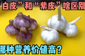 大蒜有2种，“白皮”和“紫皮”原来区别这么大，叮嘱家人别买错视频封面