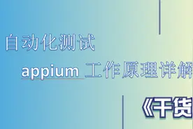 【自动化测试】appium工作原理详解视频封面