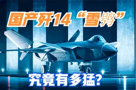 国产歼14“雪鸮”究竟有多猛？飞行高度达6万米，机动性能超歼20视频封面