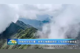 河南内乡宝天曼：世界生物圈保护区 人与自然和谐共生视频封面