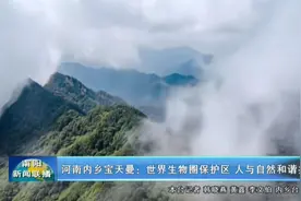 河南内乡宝天曼：世界生物圈保护区 人与自然和谐共生视频封面