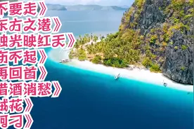 不要走。东方之港。烛光映红天。伤不起。再回首。借酒消愁。视频封面