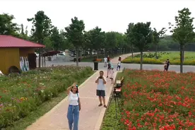 航拍安国市药博园，这里种的都是中药材风景秀丽，花儿太艳太香了视频封面