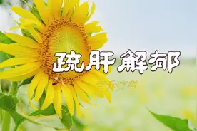 疏肝解郁|《一花一世界》养心安神 静心舒缓 缓解焦虑 五音疗疾视频封面