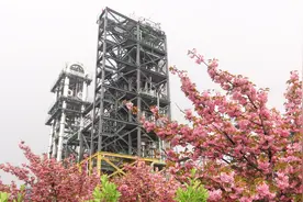 济南炼化50岁了视频封面