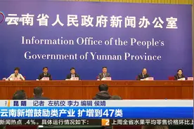 云南新增鼓励类产业 扩增到47类视频封面