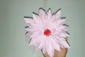 宝宝学折纸：折纸花工艺品教程，100种花折法大全图解