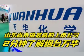 两分钟了解烟台万华化学，山东省市值最高的上市公司！视频封面