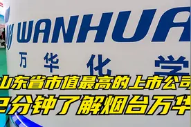 两分钟了解烟台万华化学，山东省市值最高的上市公司！视频封面