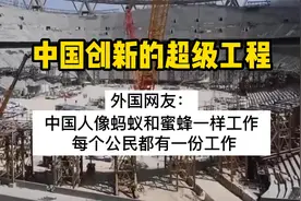 中国创新的超级工程，外国网友：中国人像蚂蚁和蜜蜂一样勤劳工作视频封面
