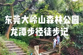 记录徒步：东莞大岭山森林公园休闲路线之—龙潭步径徒步记视频封面