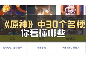 原神中30个名梗