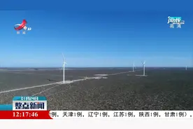 中企投资承建的阿根廷最大风电项目群更多项目投运视频封面