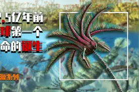 见证42.5亿年前，地球第一个生命的诞生，它到底从何而来？视频封面
