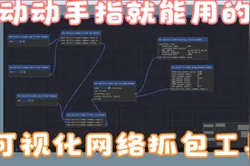 网络抓包工具开发（内含踩坑记录，开发过程，及视频演示）视频封面