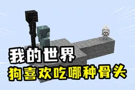 我的世界：狗喜欢吃哪种骨头，相比较小白，它更喜欢吃小黑