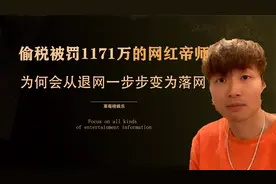 帝师偷税被罚千万发文道歉，从退网变为落网，无数网友拍手叫好视频封面