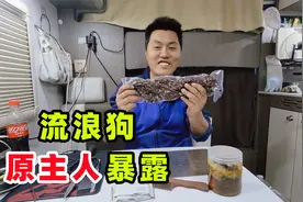 流浪拉布拉多母女原徒步主人信息披露！西藏寻求网游帮助寻找！视频封面