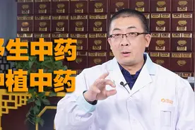 谁说中药无效？野生中药与人工种植的中药差别大吗？视频封面