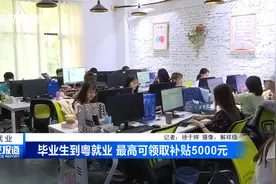 毕业生到粤就业 最高可领取补贴5000元视频封面