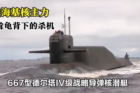 高耸龟背下的杀机 俄海基核主力667型德尔塔IV级战略导弹核潜艇视频封面