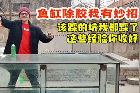 鱼缸除胶我有妙招，烦人的胶痕轻松除掉，我的经验你收好