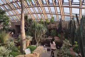 最是锦绣太原城——太原植物园视频封面