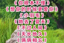 你根本不懂。想你的时候更爱你。小羽毛。她去了夏天。不过人间视频封面