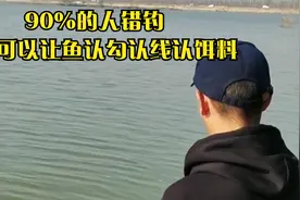 90%的人错钓，野钓分享钓鱼小技巧，学会可以让鱼认勾认线认饵料视频封面