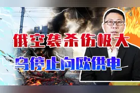 战火烧到了欧盟头上？俄大规模空袭杀伤极大，乌宣布停止向欧供电