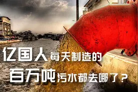 中国14亿人口，每天近240万吨的排泄物，它们最终会去往哪里呢？视频封面
