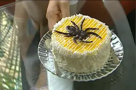 巴啦啦小魔仙：小蓝的蛋糕真奇葩，上面还窝个蜘蛛，好吓人啊视频封面