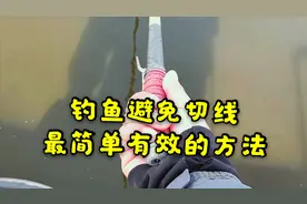 钓鱼避免切线最有效的提竿方法 只需一个很简单的动作就能搞定