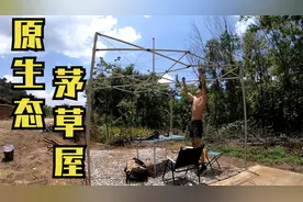 冬子花小钱办大事，弄的铁丝树叶就搭个遮阳棚，效果有待验证视频封面