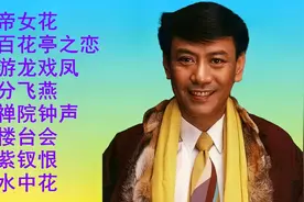 粤曲小调<帝女花><百花亭之恋><分飞燕><游龙戏凤><禅院钟声>