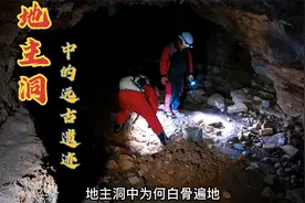 小伙探秘无人敢进的地主洞，发现城墙和地道，不知是何人留下视频封面