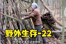 老六独自一人在丛林利用树桩打造瑞典火炬，真的度过了寒冷夜晚！视频封面