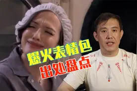 这几个爆火的表情包，都出自哪？视频封面