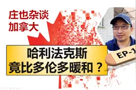 迷人的哈利法克斯，冬天竟然比多伦多还暖和【庄也杂谈加拿大16】