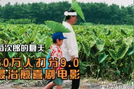 电影：痞子的铁汉柔情，北野武最治愈的电影，60万人打出9.0高分视频封面