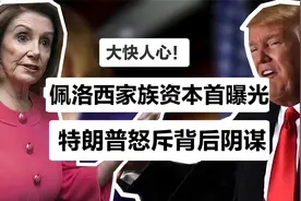 藏不住了！佩洛西窜台意外扯出背后的荒唐家族，赔了老公又折兵视频封面
