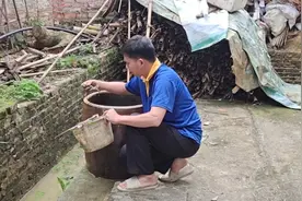 10多粒田螺仔在缸里自然生长1年，把水放干后，结果不敢相信视频封面