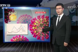 全球最新传播速度最快的重组型变异毒株？解秘新型毒株XE视频封面