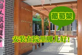 院里葡萄架搭在哪儿好，怎么搭看看就知道了！密云、平谷防腐木视频封面